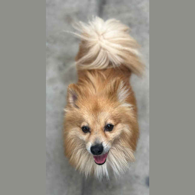 Photo of Teddy