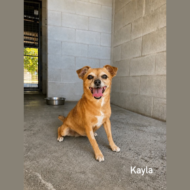 Photo of Kayla