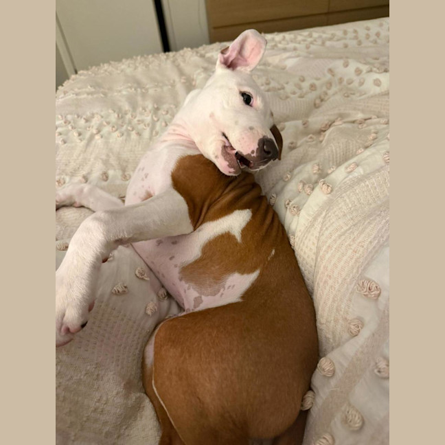 Photo of Cookie Oliver