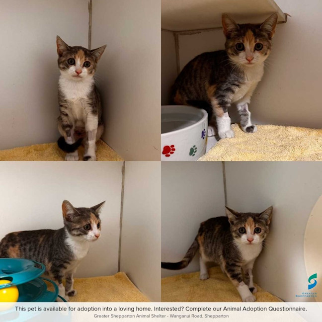 Photo of Grace