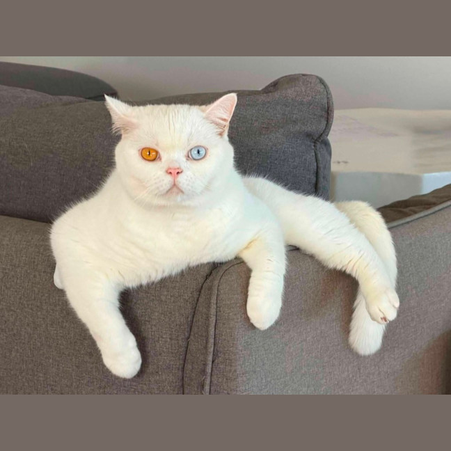 Photo of Gary 