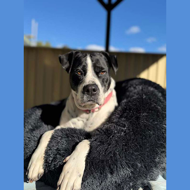 Photo of Penelope