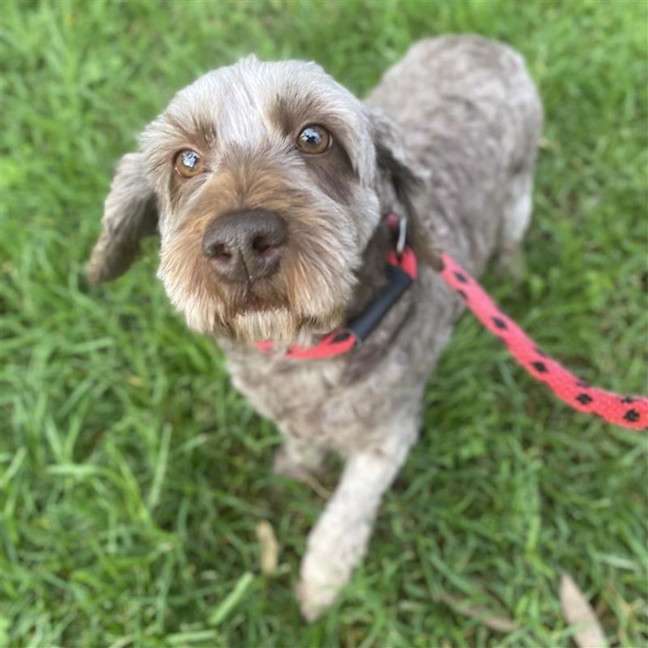 Photo of Clementine