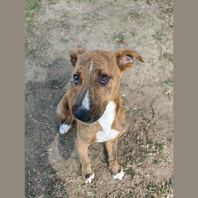 Photo of Shaggy