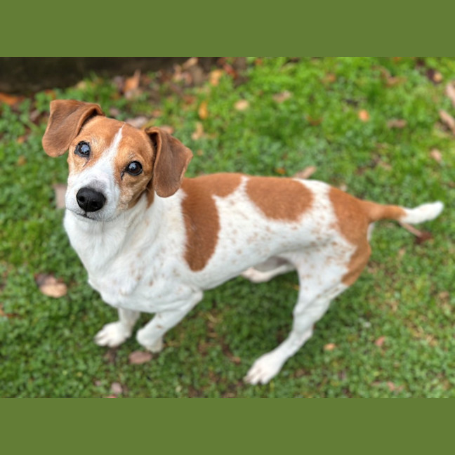 Photo of Mako & Buddy 