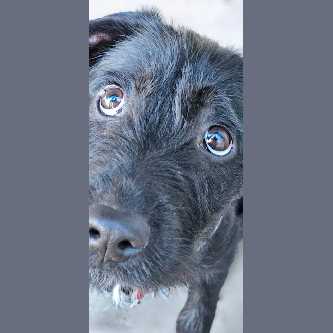 Photo of Maisey