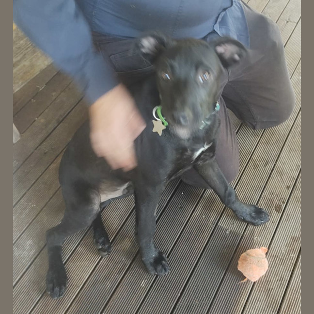 Photo of Charlie