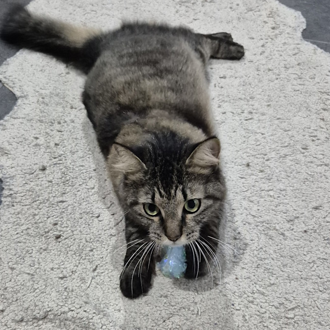 Photo of Tom