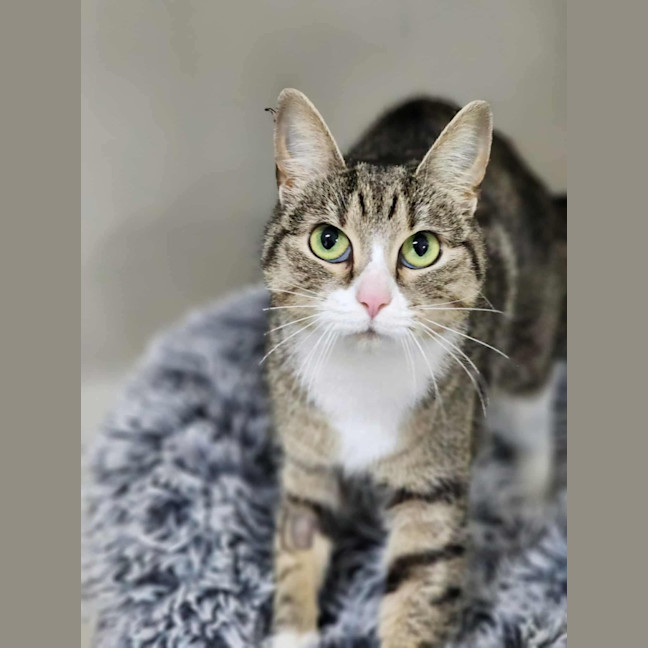 Photo of 🎭 Mischief 6423 🎭