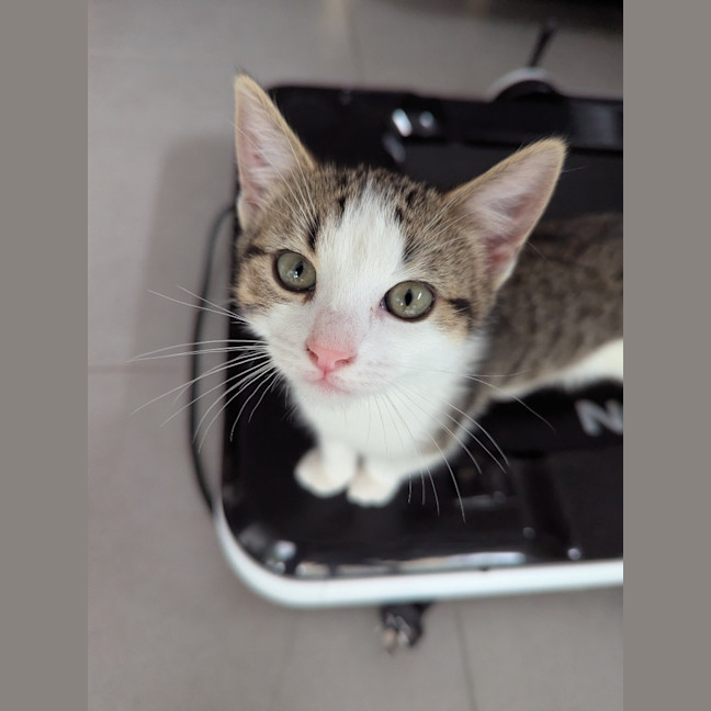 Photo of Sofia Scotty