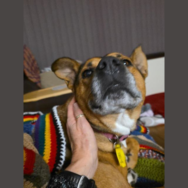 Photo of Lucy