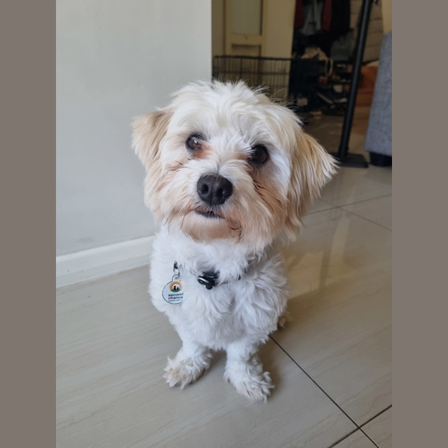 Photo of Max (Was Yoki ) 