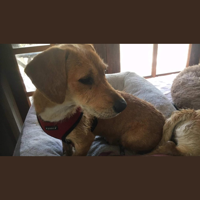 Photo of Hannah And Edward