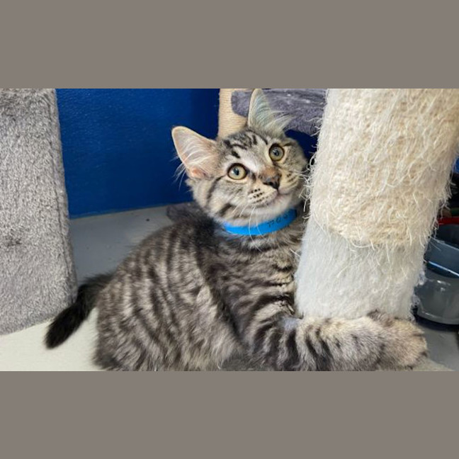 Photo of Hiro