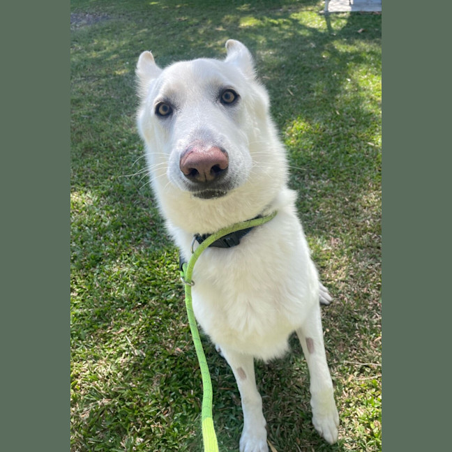 Photo of Kaleb