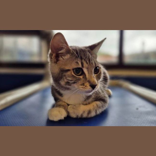 Photo of Meredith