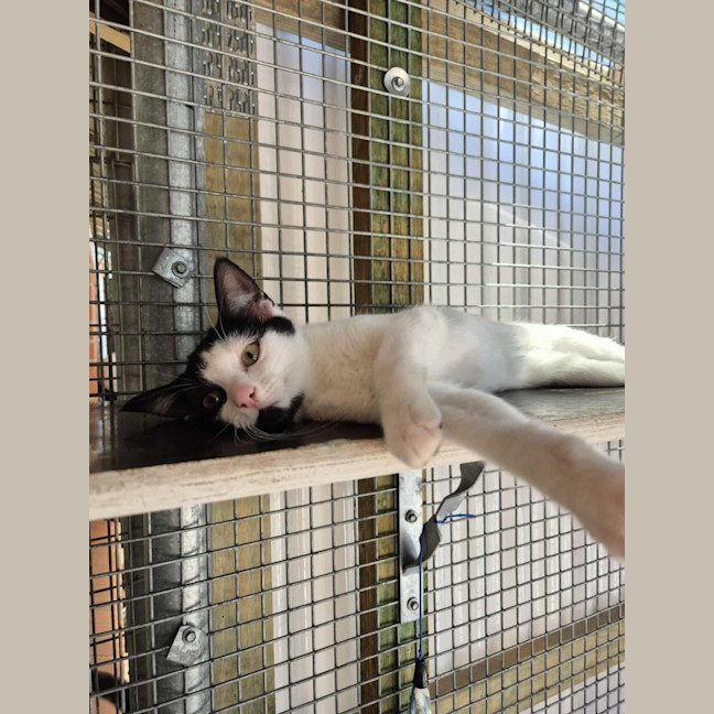 Photo of Cowgirl! 🤠