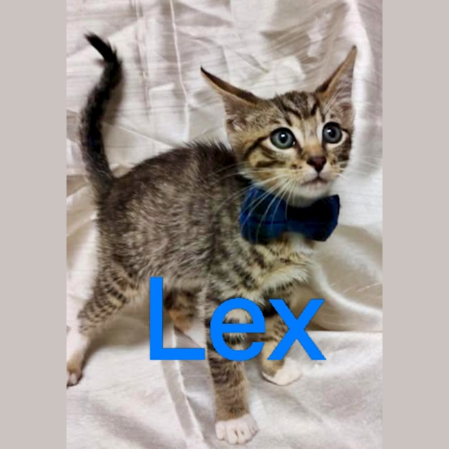 Photo of Lex❤️