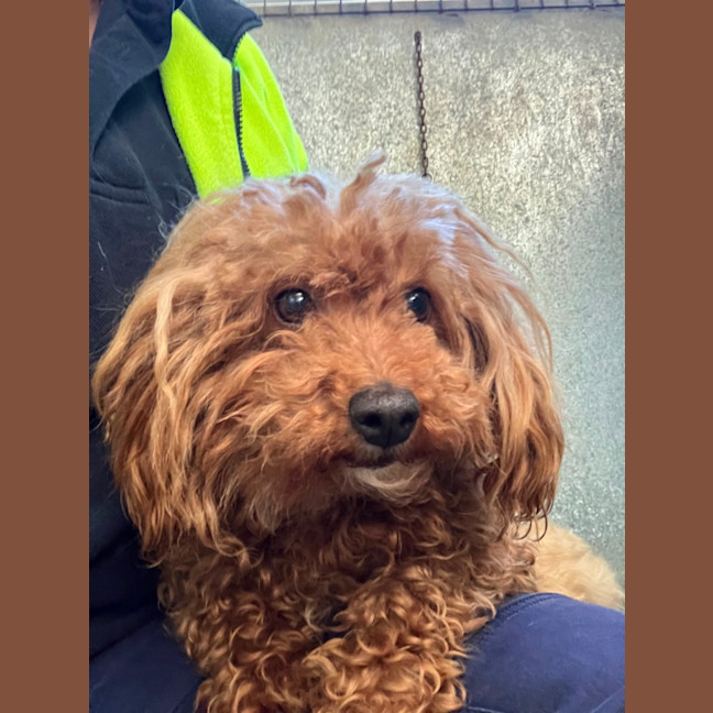 Photo of Charlie
