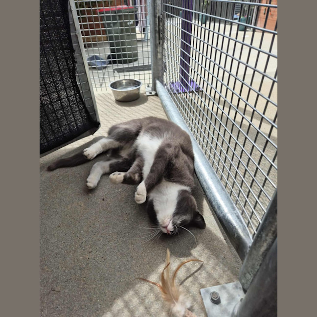 Photo of Mary! 🕊️