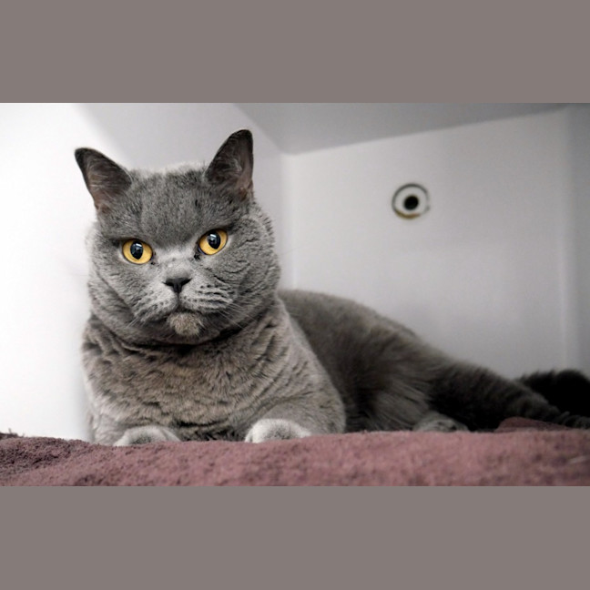 Photo of Poppy Sua012958