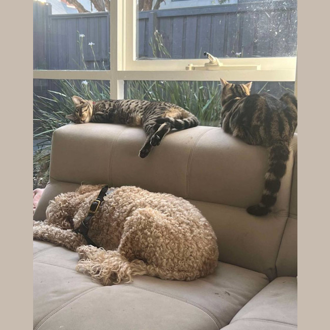 Photo of Tiga & Winnie 