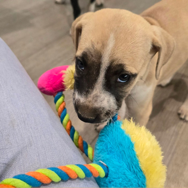 Photo of Epponnee Rae