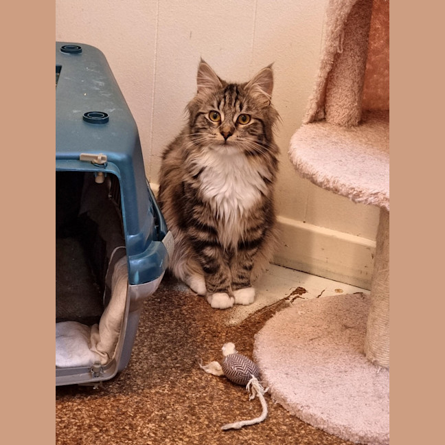Photo of Sandy