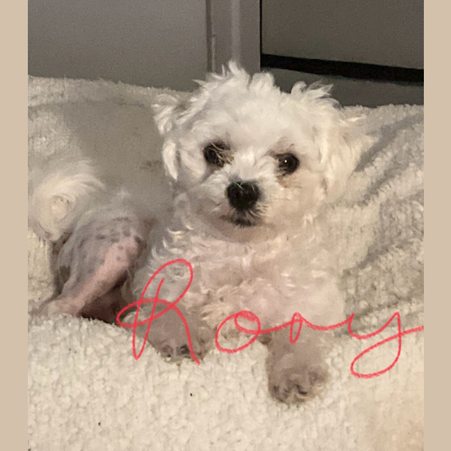 Photo of Rory & Lorie