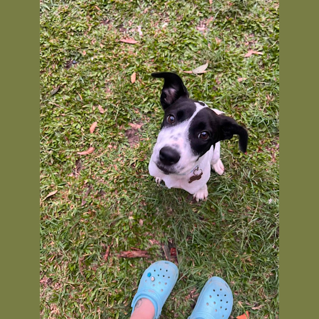 Photo of Beanie