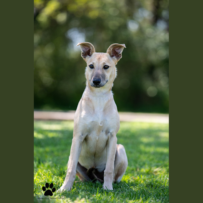 Photo of Winnie