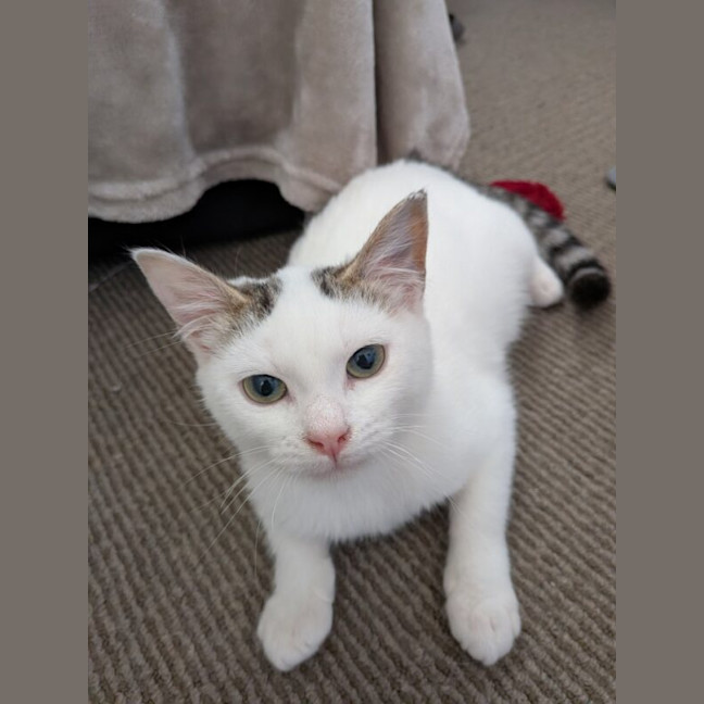 Photo of Meg