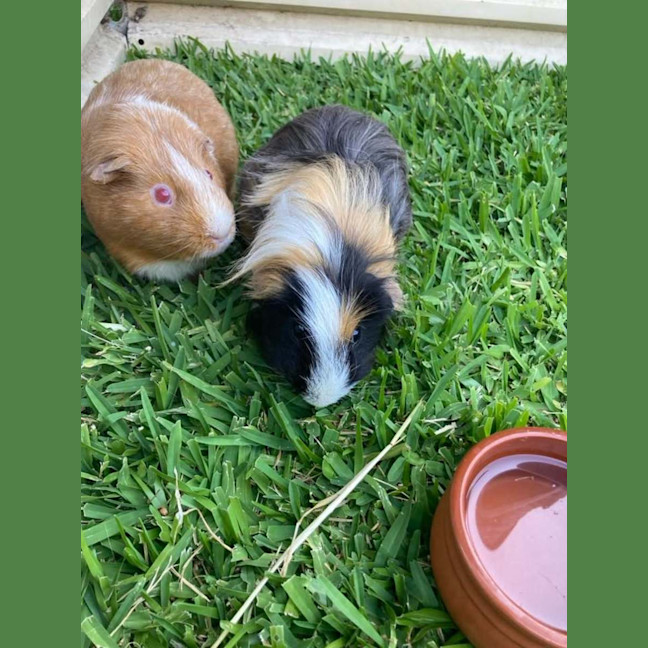 Photo of Pumpkin & Bean