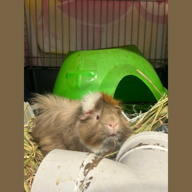 Photo of Eddy