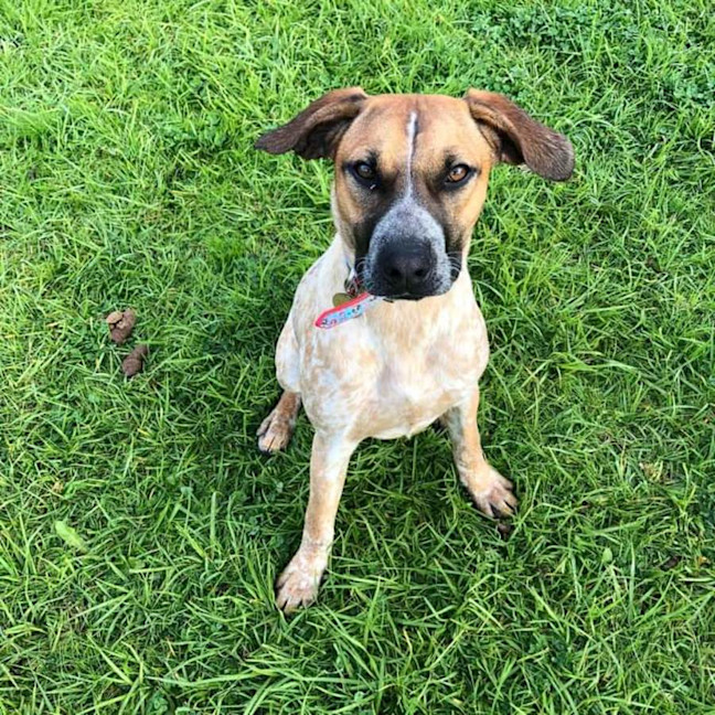 Photo of Evanescence