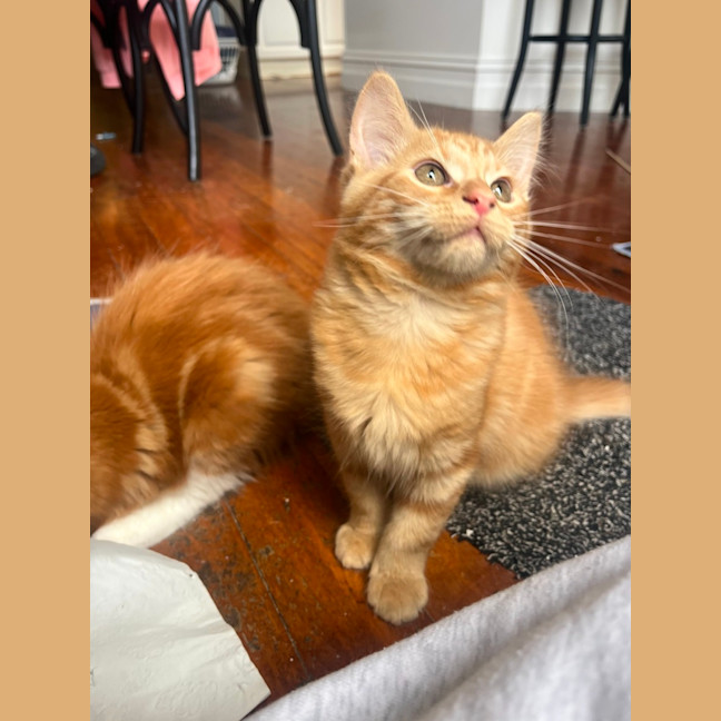 Photo of Artie