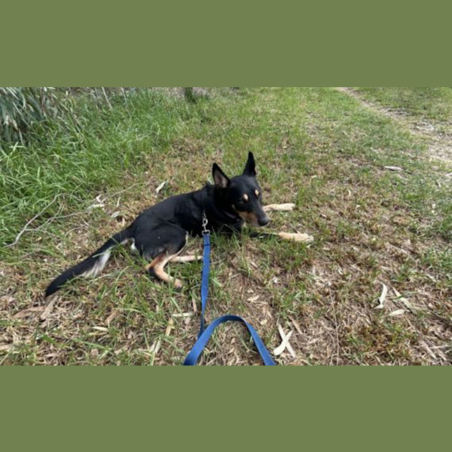 Photo of Jovi
