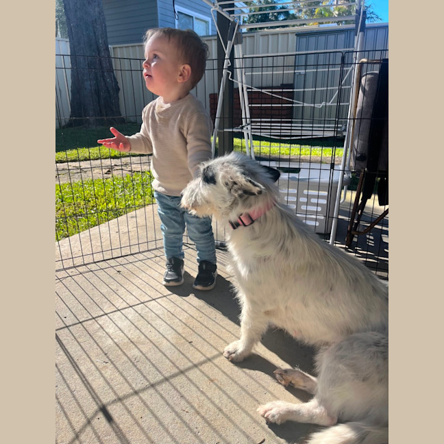 Photo of Rosie 🌹🌞