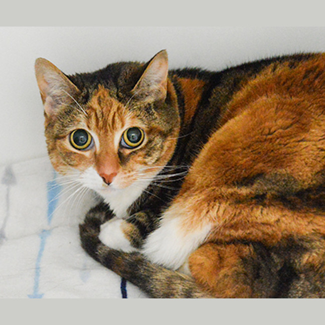 Photo of Nora