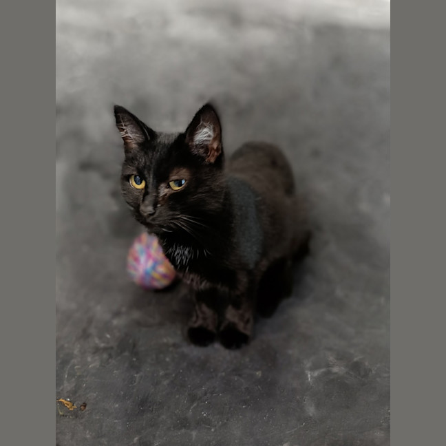 Photo of Maisey Now Macey