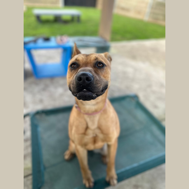 Photo of Ella