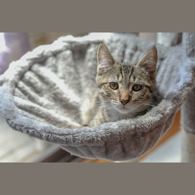 Photo of Reggie
