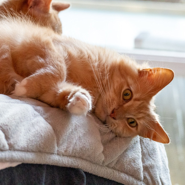 Photo of Sally & Denny