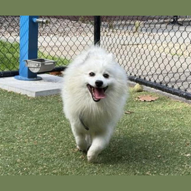 Photo of Powder