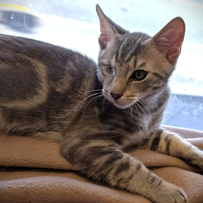 Photo of Lelo