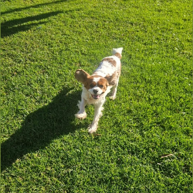 Photo of Elsa 