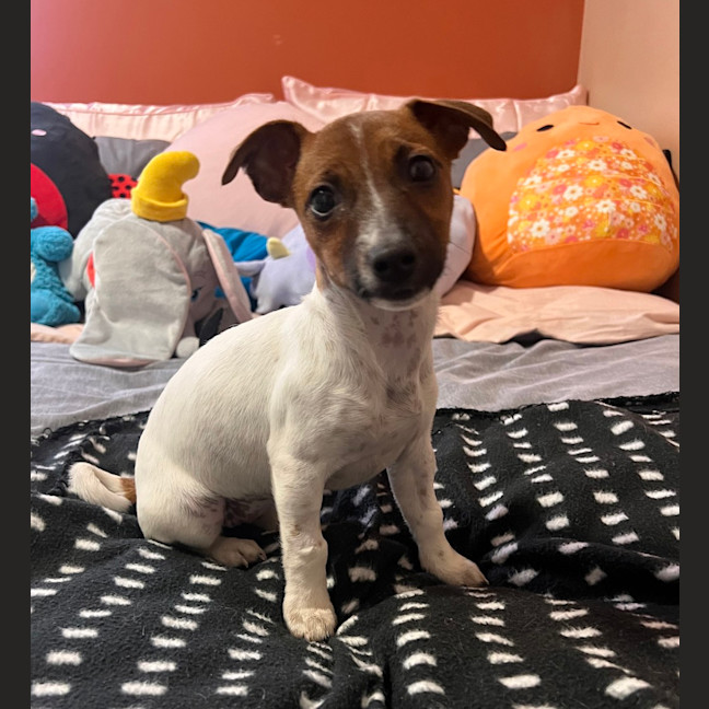 Photo of Molly Mae