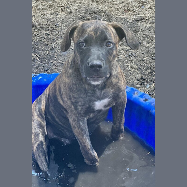 Photo of Bobby