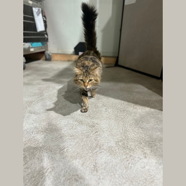 Photo of Mr Brightside