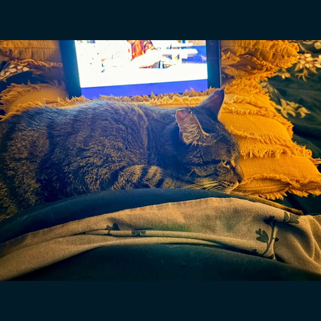 Photo of Ricky
